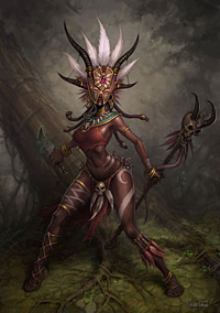 diablo 3 - witch doctor female